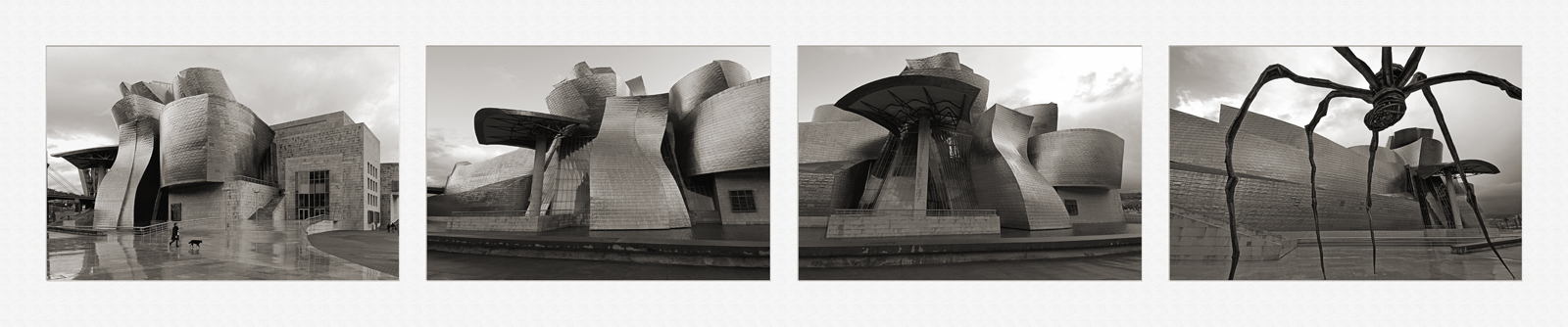 Guggenheim 2-2 selenio (144x30).jpg